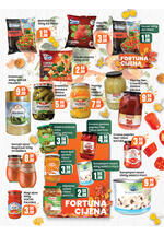 Fortuna market kataloška ponuda