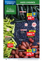 Lidl katalog akcija
