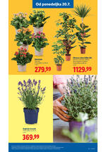 Lidl katalog akcija