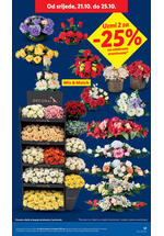 Lidl katalog - Tjedna akcija