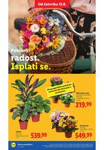Lidl katalog akcija