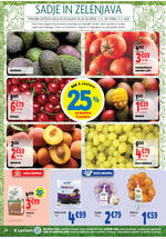 E.Leclerc spletni katalog