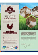Hofer redni katalog