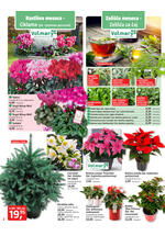 Bauhaus redni katalog