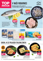 Mercator redni katalog