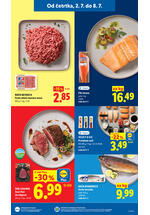 Lidl redni katalog