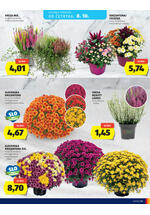 Hofer katalog - Tedenska akcija