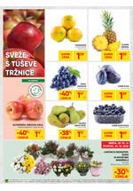 Tuš redni katalog