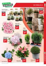 Spar interspar katalog