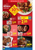 Lidl kataloška akcija