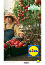 Lidl katalog akcija