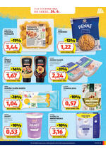 Hofer redni katalog