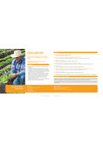 Adama katalog