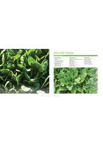 Adama katalog