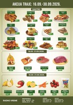 Sinagoga katalog akcija