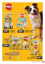 Idea katalog neprehrana