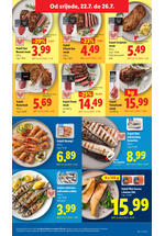Lidl kataloška akcija
