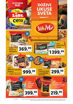 Lidl katalog akcija
