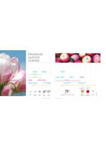 Adama katalog