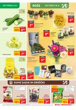 Spar redni katalog