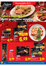 Lidl redni katalog