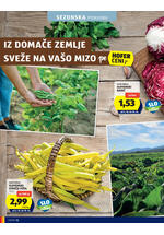 Hofer katalog - Tedenska akcija