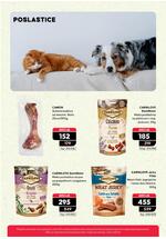 Pet centar akcijski katalog