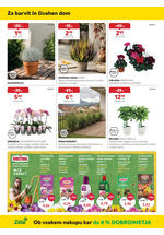 Merkur akcijski katalog
