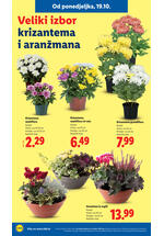 Lidl katalog - Tjedna akcija