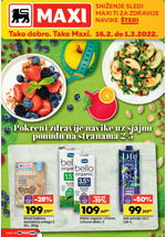 Maxi katalog novogodišnja magija
