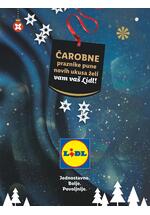 Lidl katalog hedonizam u boji praznika