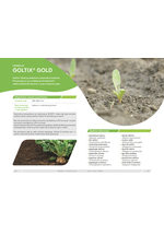 Adama katalog