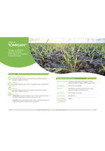 Adama katalog