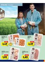 Hofer redni katalog
