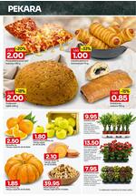 Bingo katalog - Dvonedeljna akcija