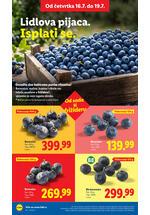Lidl katalog akcija