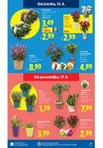 Lidl redni katalog