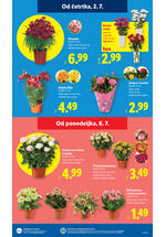 Lidl redni katalog