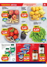 Hofer redni katalog