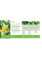 Adama katalog