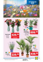 Lidl katalog akcija
