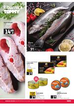Tommy katalog - Tjedna akcija