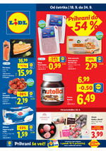 Redni katalog