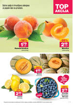 Mercator redni katalog