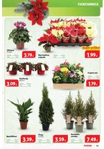 Plodine kataloška akcija