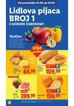 Lidl katalog akcija