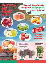 KTC katalog - Široka potrošnja