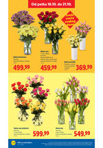 Lidl katalog - Nedeljna akcija