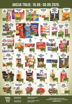 Sinagoga katalog akcija