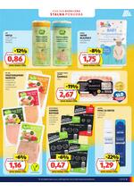 Hofer redni katalog